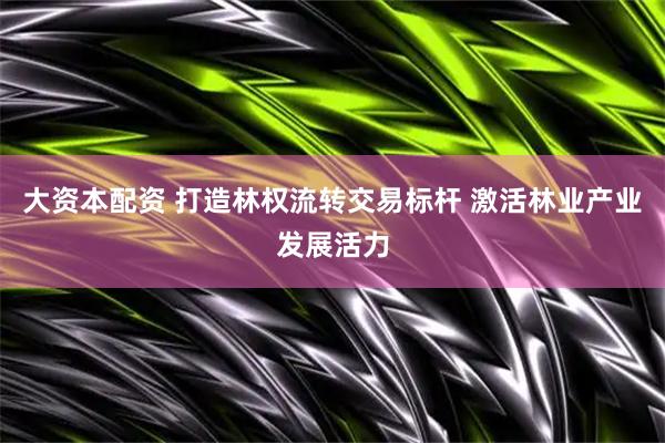 大资本配资 打造林权流转交易标杆 激活林业产业发展活力