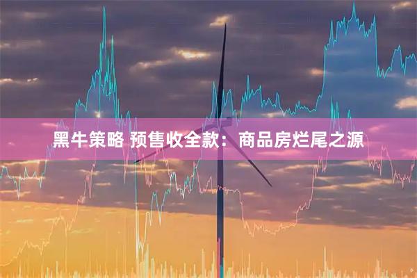 黑牛策略 预售收全款：商品房烂尾之源