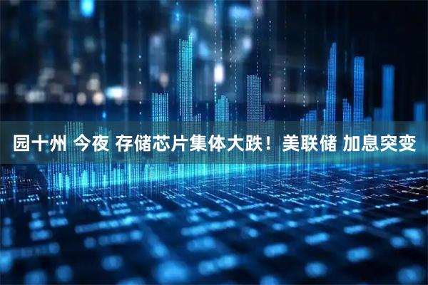 园十州 今夜 存储芯片集体大跌！美联储 加息突变