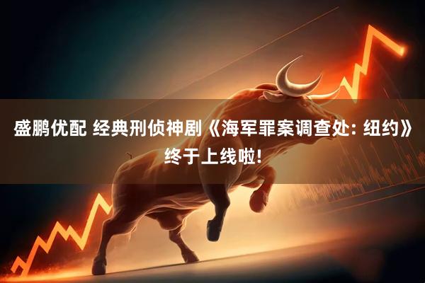 盛鹏优配 经典刑侦神剧《海军罪案调查处: 纽约》终于上线啦!