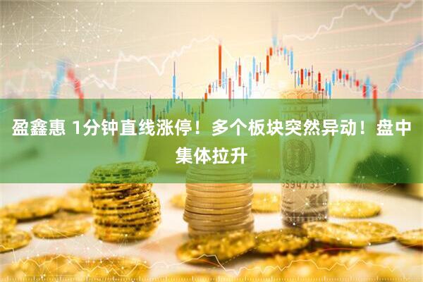 盈鑫惠 1分钟直线涨停！多个板块突然异动！盘中集体拉升